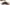 Does microneedling the scalp help with hair regrowth?